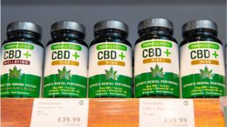 , Cannabis oil products ‘could be off the shelves in a year’, Saubio Making Wealth